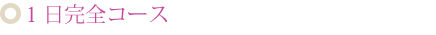 1日完全コース