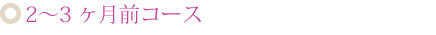 2～3ヶ月前コース