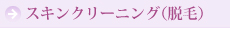 スキンクリーニング（脱毛）