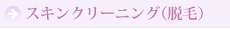 スキンクリーニング（脱毛）
