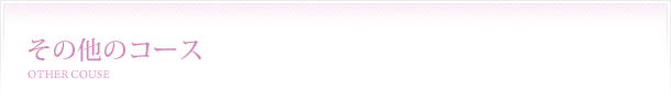 その他のコース