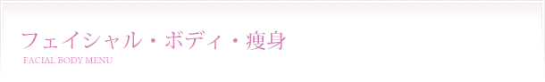フェイシャル・ボディ・痩身